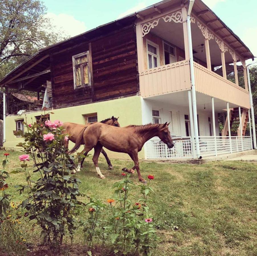 Guest House Lailashi Surmushi Eksteriør billede